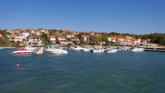Cizici1
