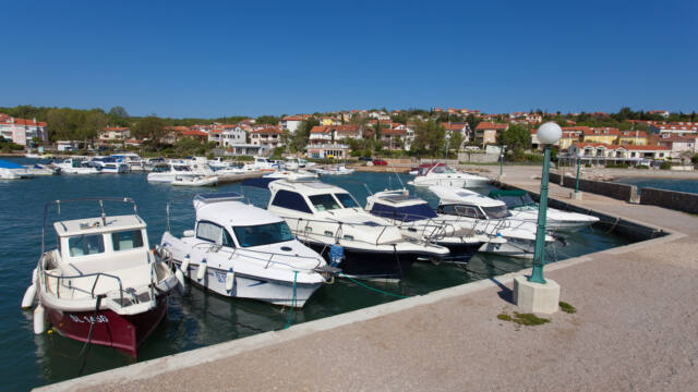 Cizici4