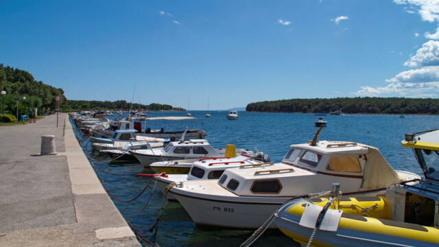 Punat riva