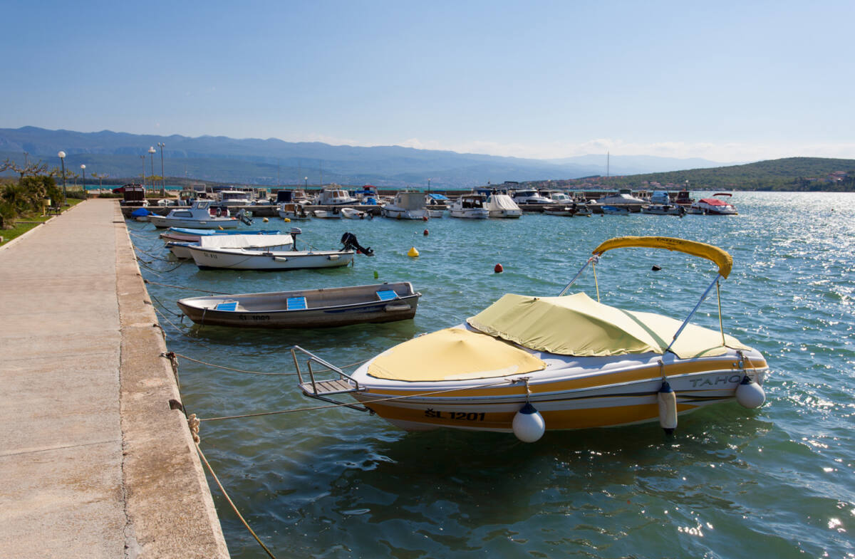 Cizici3